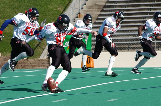 海港队展现 海港队展现