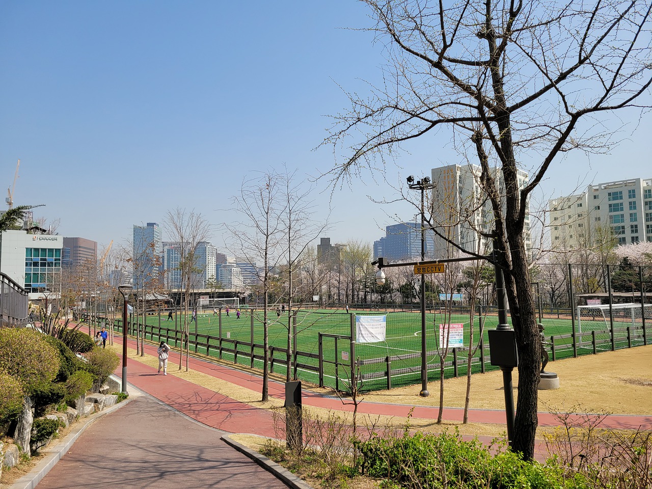 曼奇尼的言 曼奇尼的言