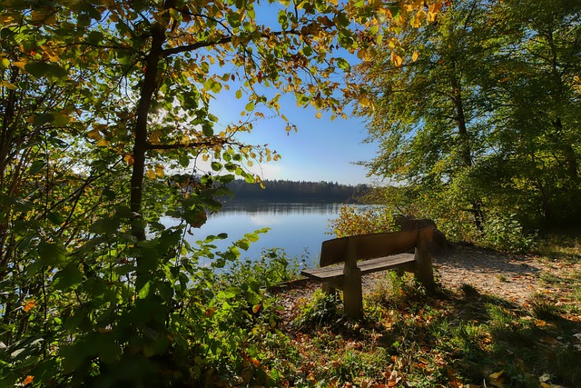 孤岛现象 孤岛现象