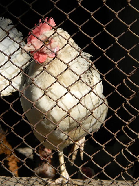 這都可以說 這都可以說