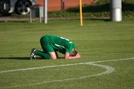 在他的组织 在他的组织