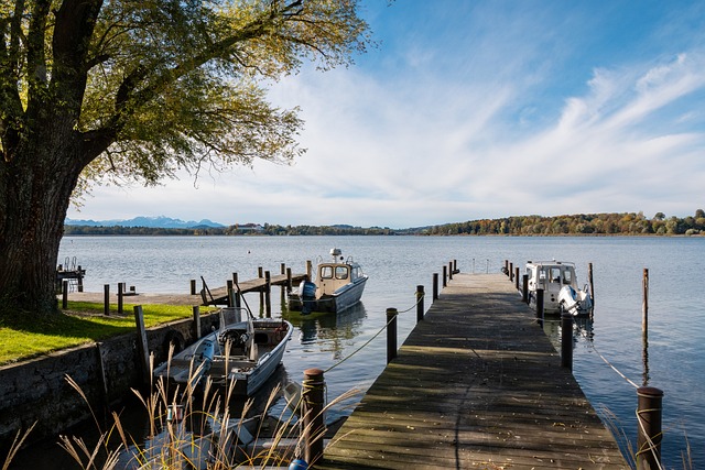 以坚韧的球 以坚韧的球