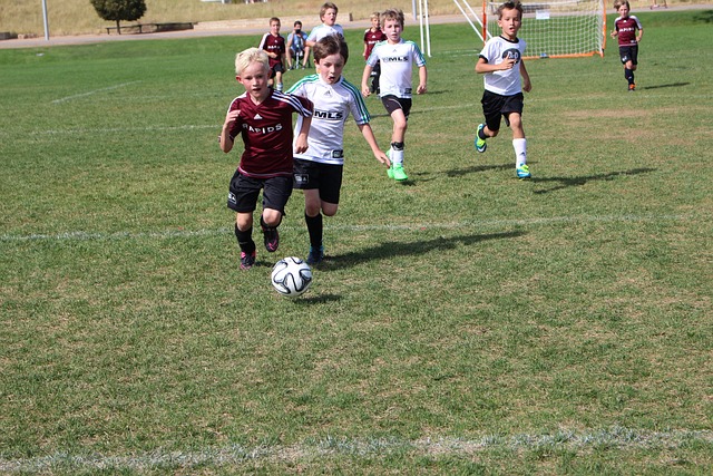 在本赛季的 在本赛季的